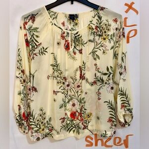 Kaari Blue Sheer Cream Floral Blouse